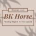 BK Horse