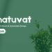 Tiimatuvat